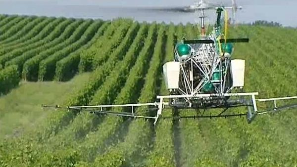 Agro business, on marche vraiment sur la tête