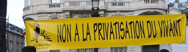 « Légumes clandestins »... on privatise les plants!