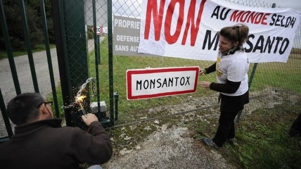 Les anti-OGM soudent les grilles de Monsanto