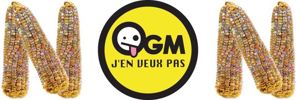 OGM : le moratoire est de nouveau menacé