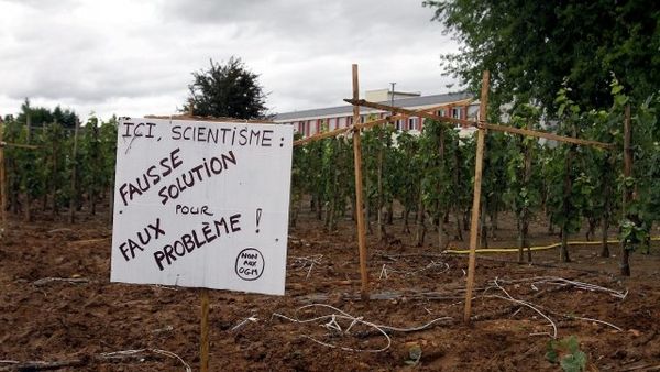 Les faucheurs d’OGM en procès à Colmar : voici ce qu’ils ont dit