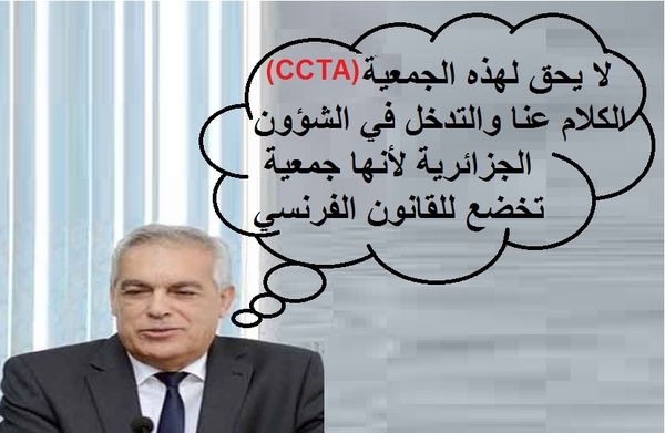 الحياة - طلعي : "نرفض تدخل الجمعيات الفرنسية في الجوية الجزائرية"
