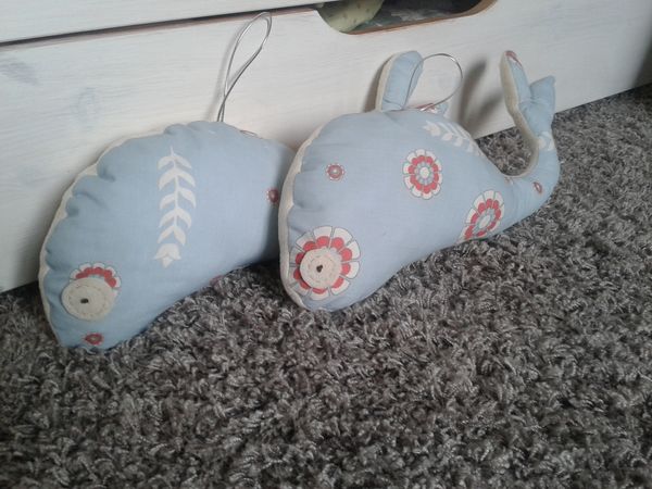 Nouvelles espèces de baleines!