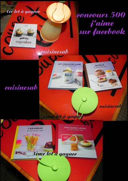 petit concours pour les 500 j'aime sur facebook