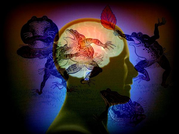 Réapprivoiser son Cerveau Reptilien