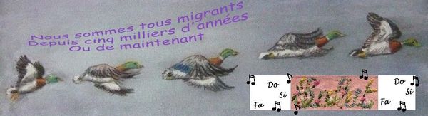 Mes autres blogs