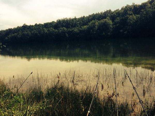 Pêche au lac Constant de montbel