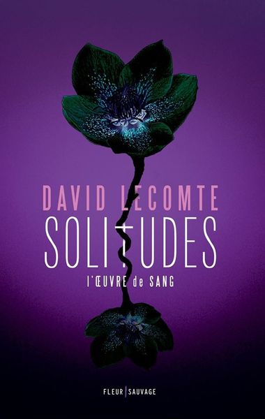 Chronique de Solitudes de David Lecomte