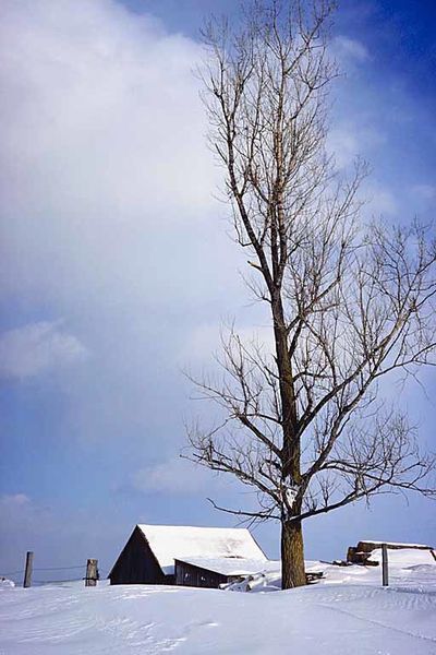 La Neige
