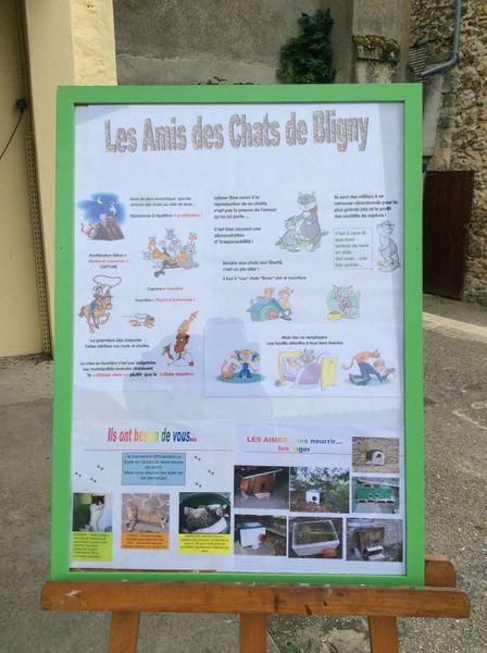 5 septembre 2015 - Forum des Associations
