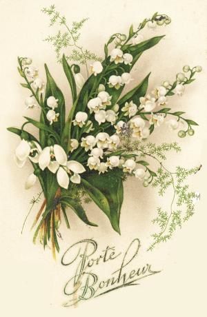 Quelques brins de muguet...