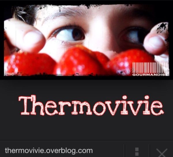 Thermovivie est enfin sur Facebook...