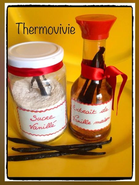 Extrait de vanille maison et sucre vanillé au thermomix