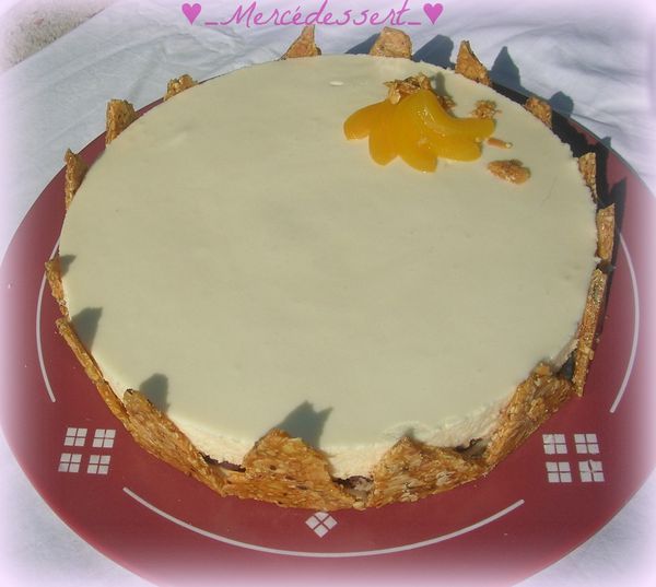 Bavarois chocolat blanc/amandes, ganache caramel/gavottes et oreillons d'abricots