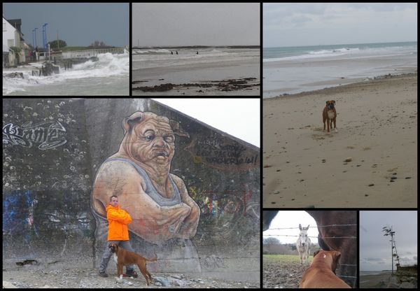 Dimanche hivernal au bord de mer