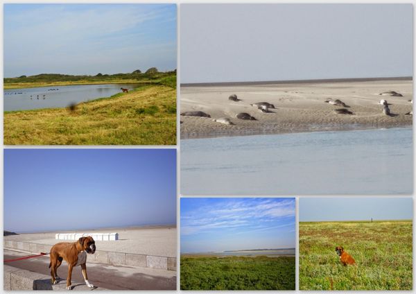 L'été indien en Baie de Somme