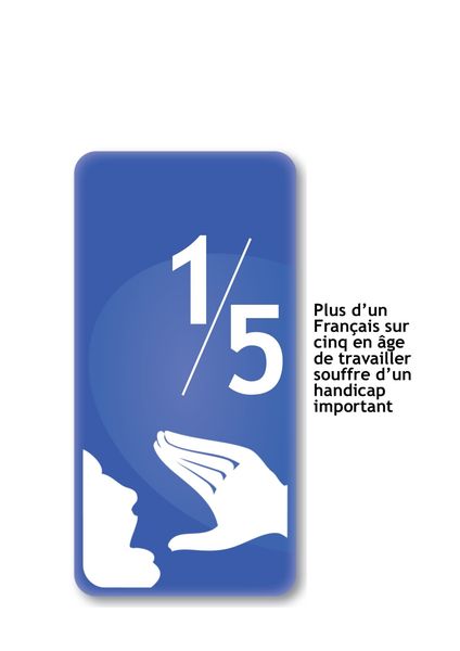 Le cri de novembre 2013: le handicap en France