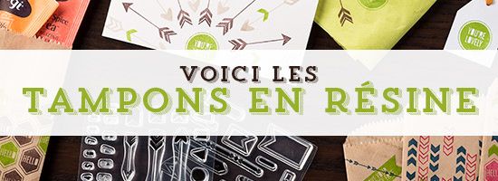 Grande nouveaute chez STAMPIN UP ........