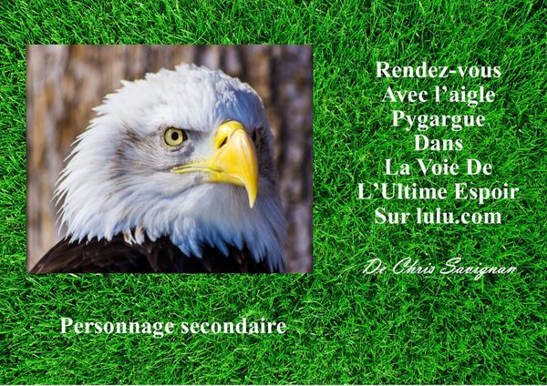 Hommage/La Voie De L'ultime Espoir/livre