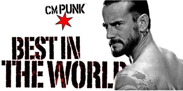 La WWE Superstar de l'année 2013