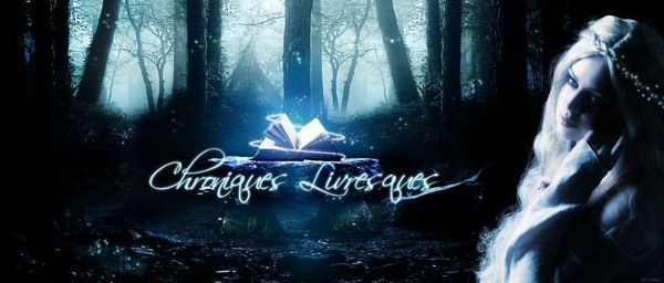 Les gardiens des portes, tome 1 : Abbygaëlle (Sonia Alain)