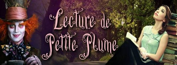 Les gardiens des portes, tome 3 : Amélie de Sonia Alain