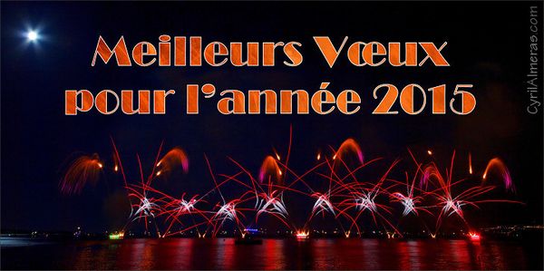 A tous une bonne année 2015