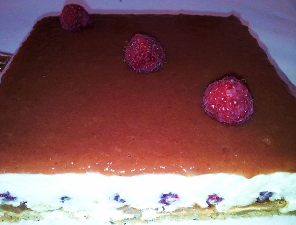 Framboisier Royal au chocolat version 2