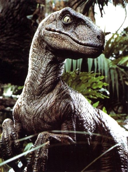 Velociraptor escapes