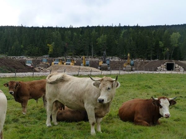 Vinci débarque en Vercors : du goudron pour des roulettes !