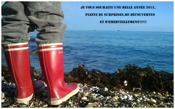 Ce que j'ai aimé en 2014...