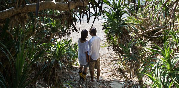 Nature et découvertes (Still the Water de Naomi Kawase)