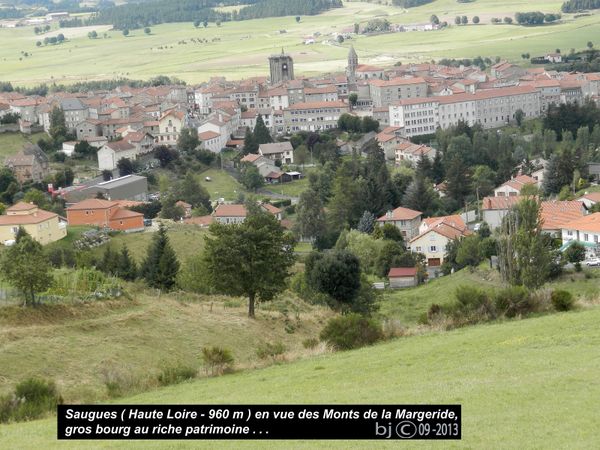Etape 2 - de Monistrol à la Clause - VIA PODIENSIS