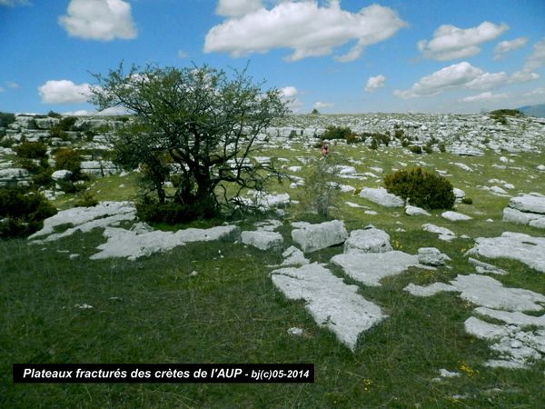 SOMMET de LA PARIOUNE - Alpes de Hte Provence