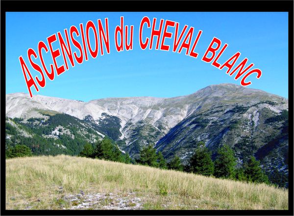 CHEVAL BLANC depuis CHATEAU GARNIER