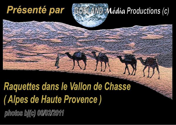 RAQUETTES dans le vallon de chasse ( val d'Allos )