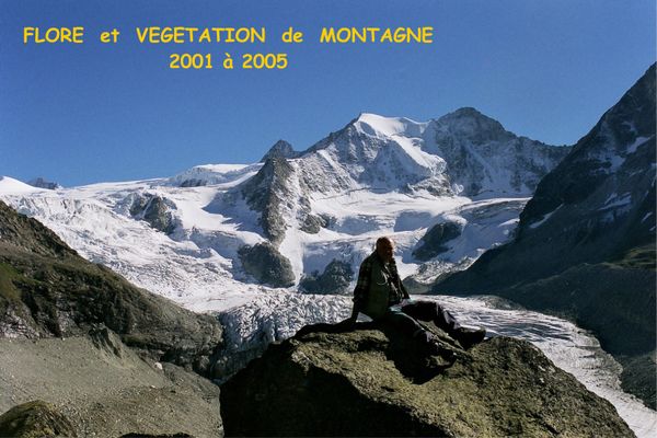 GLACIERS du VALAIS ( CH ) - MOIRY et ALETCH