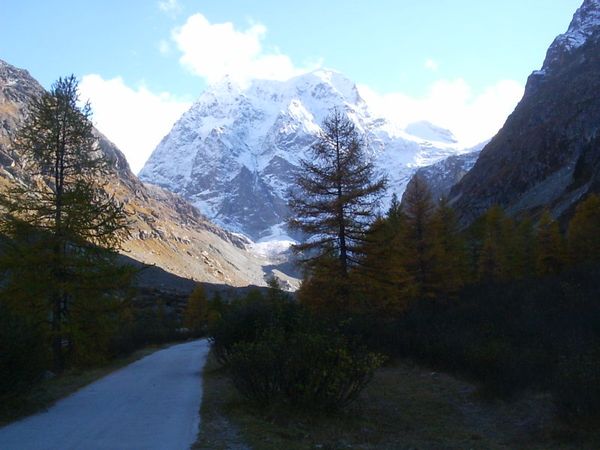 GLACIER d' AROLLA - Valais ( CH )