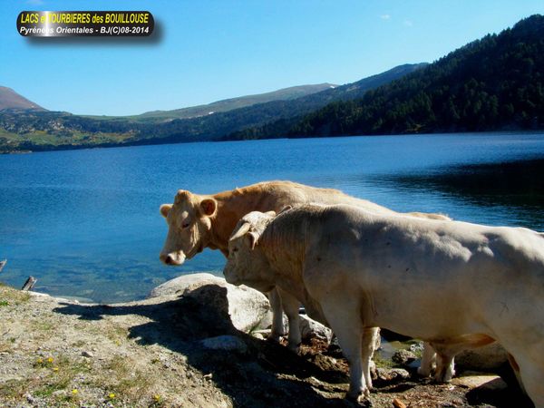 LACS et TOURBIERES des BOUILLOUSE - Pyrénées