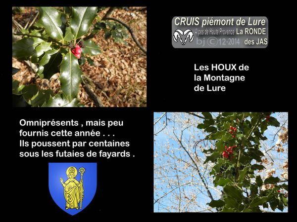 RONDE des JAS et HOUX