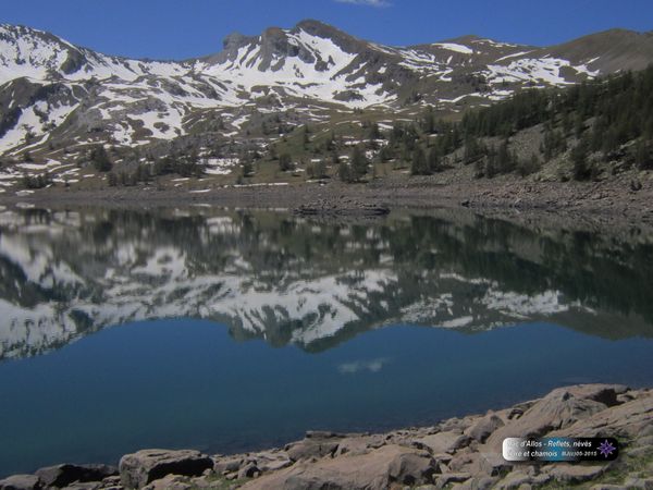 lac-allos-printemps-blog-dranreb0434