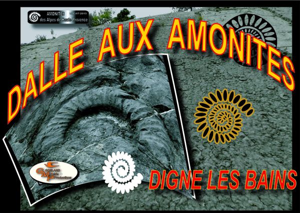 dalle-ammonite-blog dranreb0434