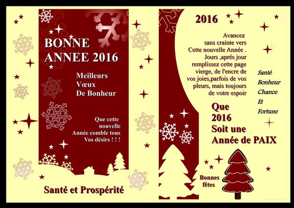 voeux 2016 blog dranreb0434