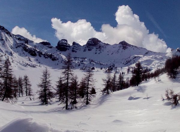 AUTOMNE en ALPES de HAUTE PROVENCE - 2015-2016