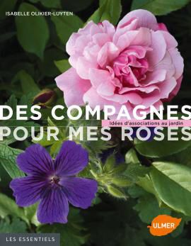2ème projet : les arches aux roses