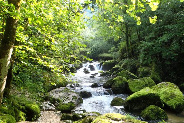 L'albarine (1): la cascade de la Charabotte.
