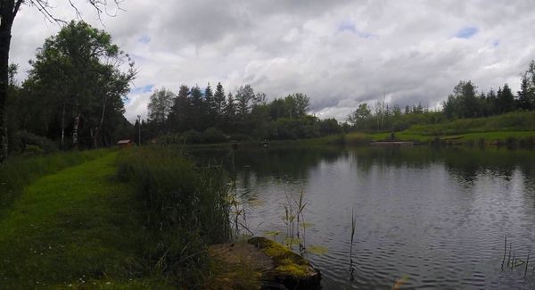 Juin: Ô rage, ô réservoir....