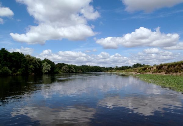 Un brin de jeunesse...En Loire!!!