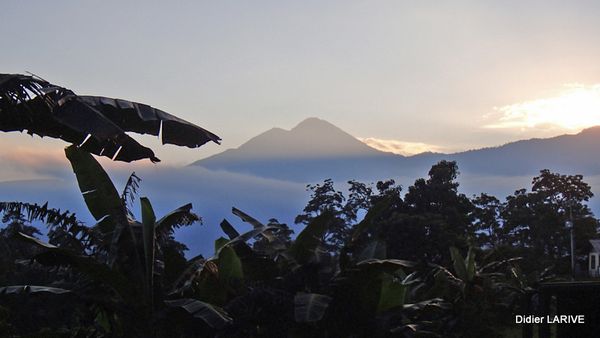FLORES : Terre de Volcans