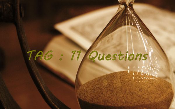 TAG : 11 questions